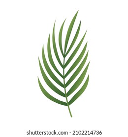 Green Petiole element, Vector, Illustration.