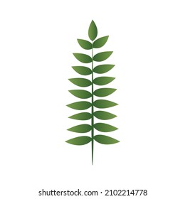 Green Petiole element, Vector, Illustration.