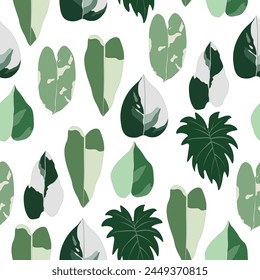 Green philodendron pattern. Leaves. Foliage. Abstract. Seamless print. White background. Vector texture. Wrapping paper. Fabric. Textile. Wallpaper. Eco. Organic. Plant.