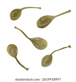 Buds, Alcaparras. Este design botânico é perfeito para culinária, embalagem de alimentos, cozinha mediterrânea, produtos à base de plantas e temas de saúde natural.