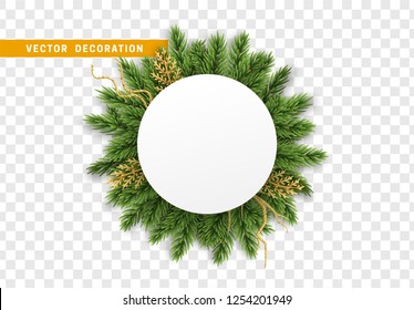 Green pine branches, golden decorative Christmas tree branch. Isolated on transparent background, vector illustration.