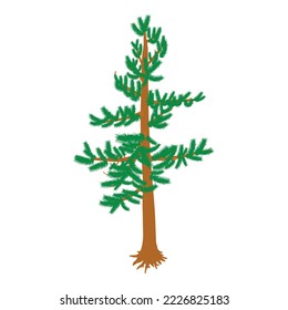 Green pine icon isometric vector. Freestanding evergreen coniferous tree icon. Plant, nature, flora, environment