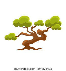 Green Pine Tree Bonsai Miniature Traditional Japanese Garden Landscape Element Vector Illustration