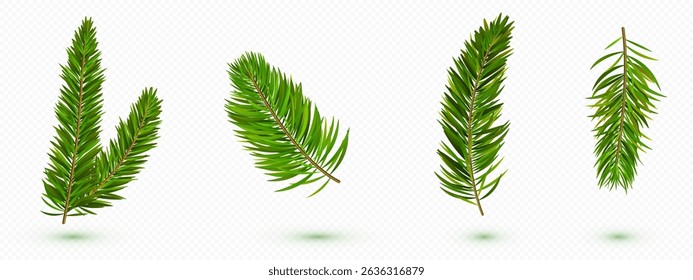 Green pine tree branches collection isolated on white - evergreen needles conifer spruce twigs for Christmas decoration, forest botanical elements, realistic fir foliage set for holiday design.