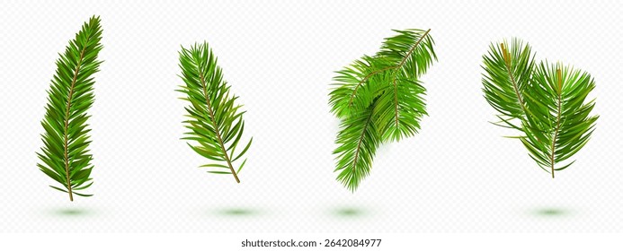 Green pine tree branches collection - evergreen foliage with needles, coniferous branch set for decoration. Natural forest elements of spruce twigs, fir leaves on white for Christmas garland design.
