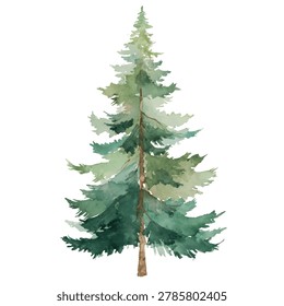 Green pine tree with brown trunk
