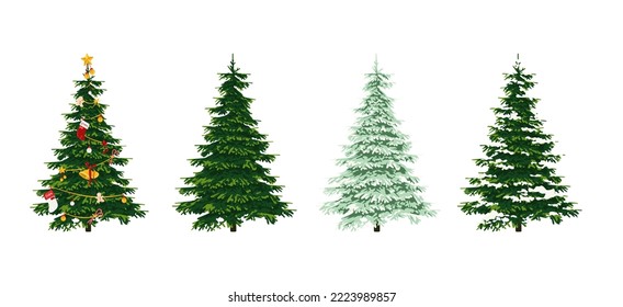 green pine tree for christmas decoration design