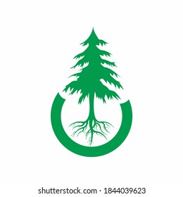 Green pine tree in the circle shape logo template