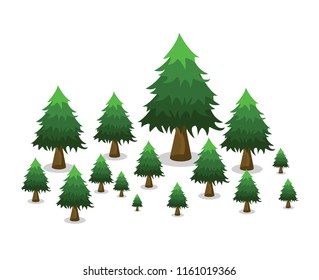 Green pine tree forest isolated on white