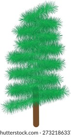 Planta de la naturaleza del árbol de pino verde