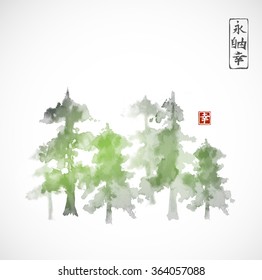 Green Pine trees forest in fog. Traditional Japanese ink painting sumi-e. Vector illustration. Contains hieroglyphs - eternity, freedom, happiness