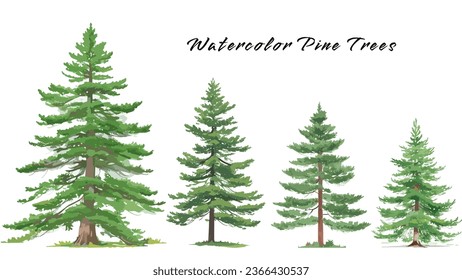 Colección de acuarelas de pinos verdes. Spruce y árbol de vacaciones. Conjunto de abetos, pinos y árboles aislados en un fondo blanco. Ilustración vectorial. Imágenes prediseñadas.