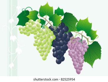 green, pink and blue grape