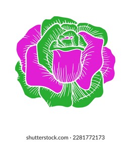 Green and pink combination rose. Vector illustration. Flower icon