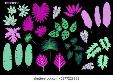 Green and pink tropical trendy leaves and flowers. Black background graphic plants. 