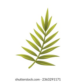 Green Plam Tree Leaf with Leaf on Stem Vector Illustration