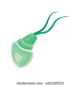 Green plankton with a translucent body. Vector illustration on white background.