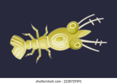 Green Plankton Water Organism Free Floating on Dark Background Vector Illustration