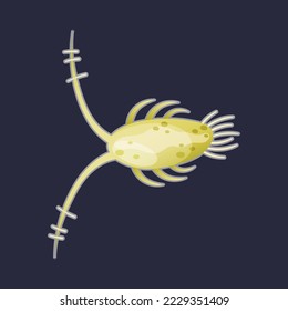 Green Plankton Water Organism Free Floating on Dark Background Vector Illustration