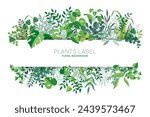 Green Plannts and floral horizontal vector design banner. Mint eucalyptus, rustic greenery.  Flat style vector collection