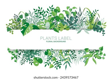 Green Plannts and floral horizontal vector design banner. Mint eucalyptus, rustic greenery.  Flat style vector collection