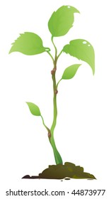 Green plant