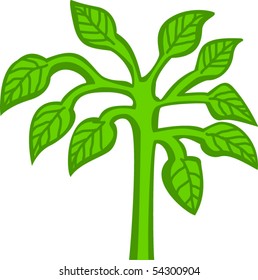 green plant