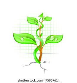 Green plant