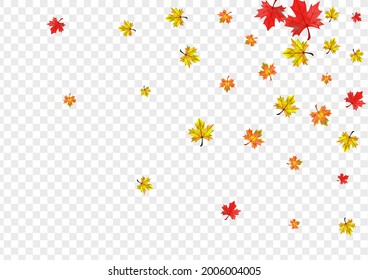 Vector transparente de fondo de planta verde. Deja una textura brillante. Golden Celebro Floral. Diseño de hojas de octubre.