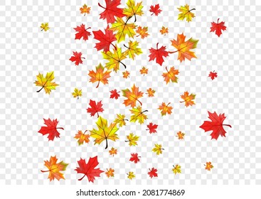 Green Plant Background Transparent Vector. Leaves Decoration Frame. Golden Abstract Floral. Down Leaf Card.