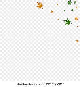 Vector transparente de fondo de planta verde. Plantilla de decoración de arce. Canadiense Amarillo. Patrón brillante. Naturaleza de Foliage marrón.
