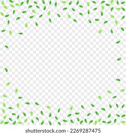 Green Plant Background Transparent Vector. Leaf Sprout Design. Woods Illustration. Light Green Air Texture. Leaves Light.
