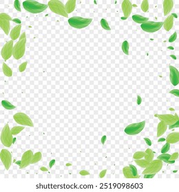 Fondo de planta verde Vector transparente. Textura del concepto de follaje. Ilustración de agricultura. Marco fresco verde claro. Parque Greenery.