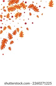 Green Plant Background White Vector. Leaf Decor Illustration. Golden Acorn. Image Set. Gold Leaves Material.