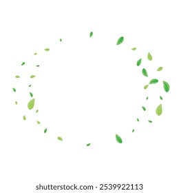 Fondo de planta verde Vector blanco. Textura del patrón de hojas. Marco floral. Tarjeta realista verdosa. Naturaleza de hojas.