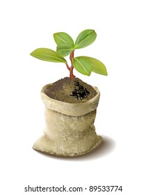 green plant in bag