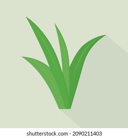 green plant, blades of grass - vector illustration