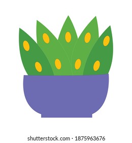 A Green Plant In A Blue Pot On White