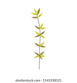 Green plant branch of leaves - natural floral element for design in flat style isolated on white background. Botanical decoration of tree or flower foliage - vector illustration of herbal object.