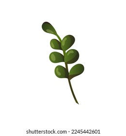 Green plant branch. Vector illustration.