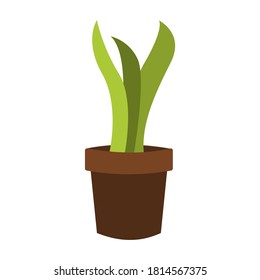 Planta verde en la ilustración del vector de la olla marrón aislada en el fondo blanco