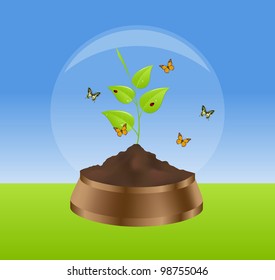Green plant, butterflies and ladybirds in glass ball. Vector illustration.