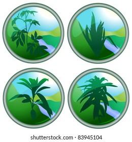 GREEN PLANT BUTTONS