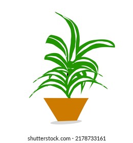 green plant cartoon photo vector illustration
