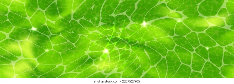 Green Plant Cell Pattern Under A Microscope Or Abstract Background. Leaf Tissue Layer Vector Macro Illustration. Microbiology Wallpaper. Scientific Structure.