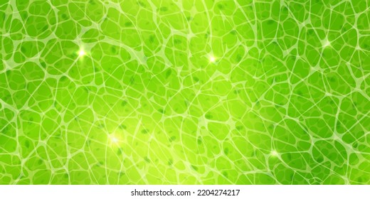 Green plant cells with nuclears texture under a microscope or abstract seamless pattern. Leaf tissue layer vector macro illustration. Microbiology background. Scientific structure.