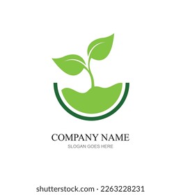 green plant farm vector logo concept