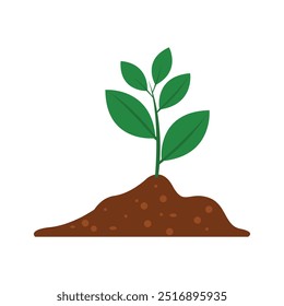 Planta verde com solo fértil. O conceito de jardinagem e semeadura. Ilustração vetorial com fundo branco.