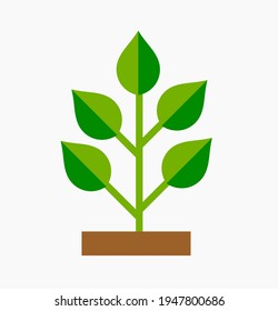 Green plant flat design symbol. Plant icon. Vector illustration.