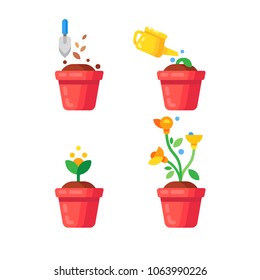Green plant flower, graphic gardening seedling plant. Info graphic concept of planting process in flat design. Flat colorful stock illustration.